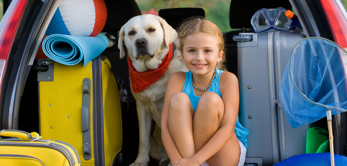 Etablering Ejeren i gang Hundefreundliche Campingplätze - Camping mit Hund